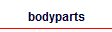 bodyparts